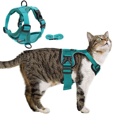 Catventures Leash and Harness Pet Collars & Harnesses KittyNook Cat Company